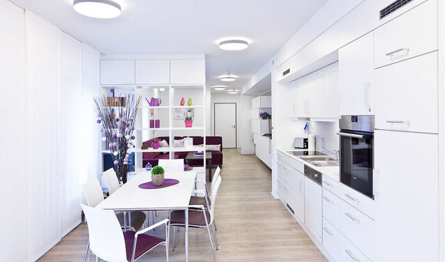 Zimmer der Behindertenhilfe. In diesem steht ein großes Sofa, es befindet sich in diesem ein offenes Regal als Raumtrenner zum Küchenbereich. In der Küche ist ein großer Esstisch mit Stühlen und einer modernen Küche.