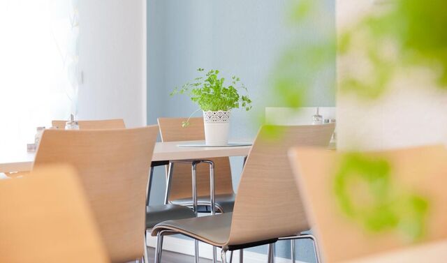 Tisch mit einigen Stühlen in einem Café. Auf dem Tisch steht eine Pflanze.